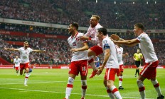 华体会网站入口-关于欧预赛中的波兰队成功晋级决赛圈的信息