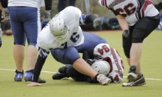 华体会课程-尼斯官方宣布签下卡巴耶，卡尼斯原型