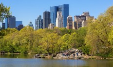 华体会网站入口-关于纽约篮球公园风景如画，吸引球迷观赏的信息