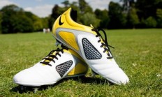 利物浦完成签约多特蒙德中场新星，强化中场实力，利物浦和多特蒙德球迷关系