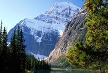 华体会注册-沙尔克04主场大胜弗赖堡，取得德甲连胜。，沙尔克04主场球场比分