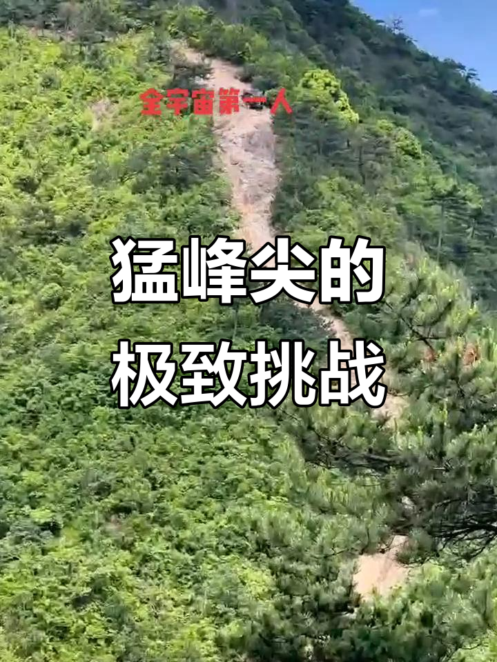 关于挑战极限热血飞扬，争取荣耀豪情碰撞的信息