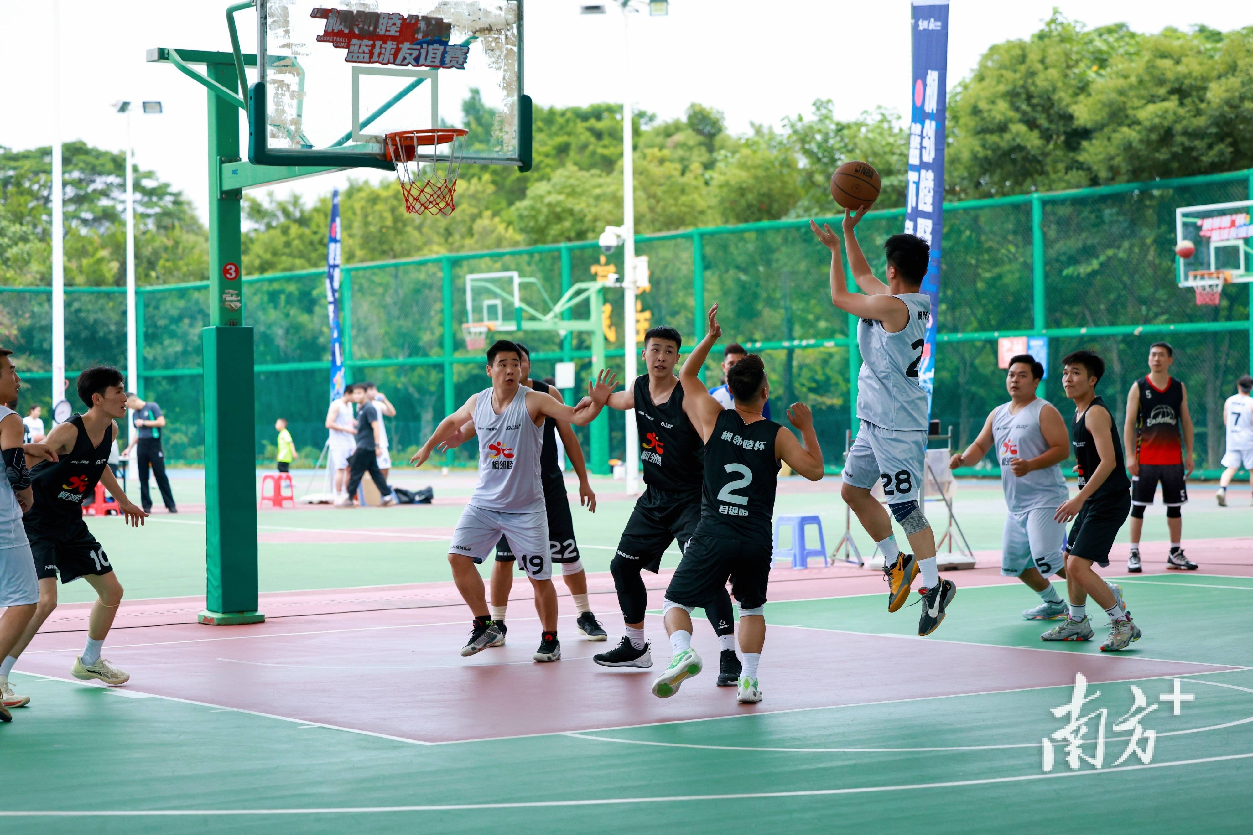 篮球联赛新季即将开启，球队备战精彩